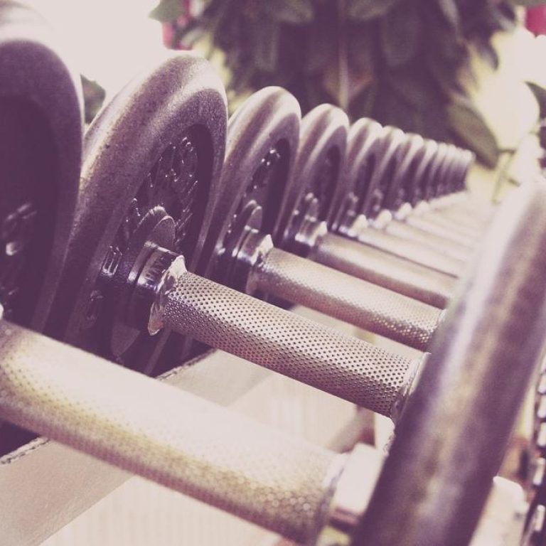 beginner-gym-8ed3b4d621934fddb9b717c6a3d5f814